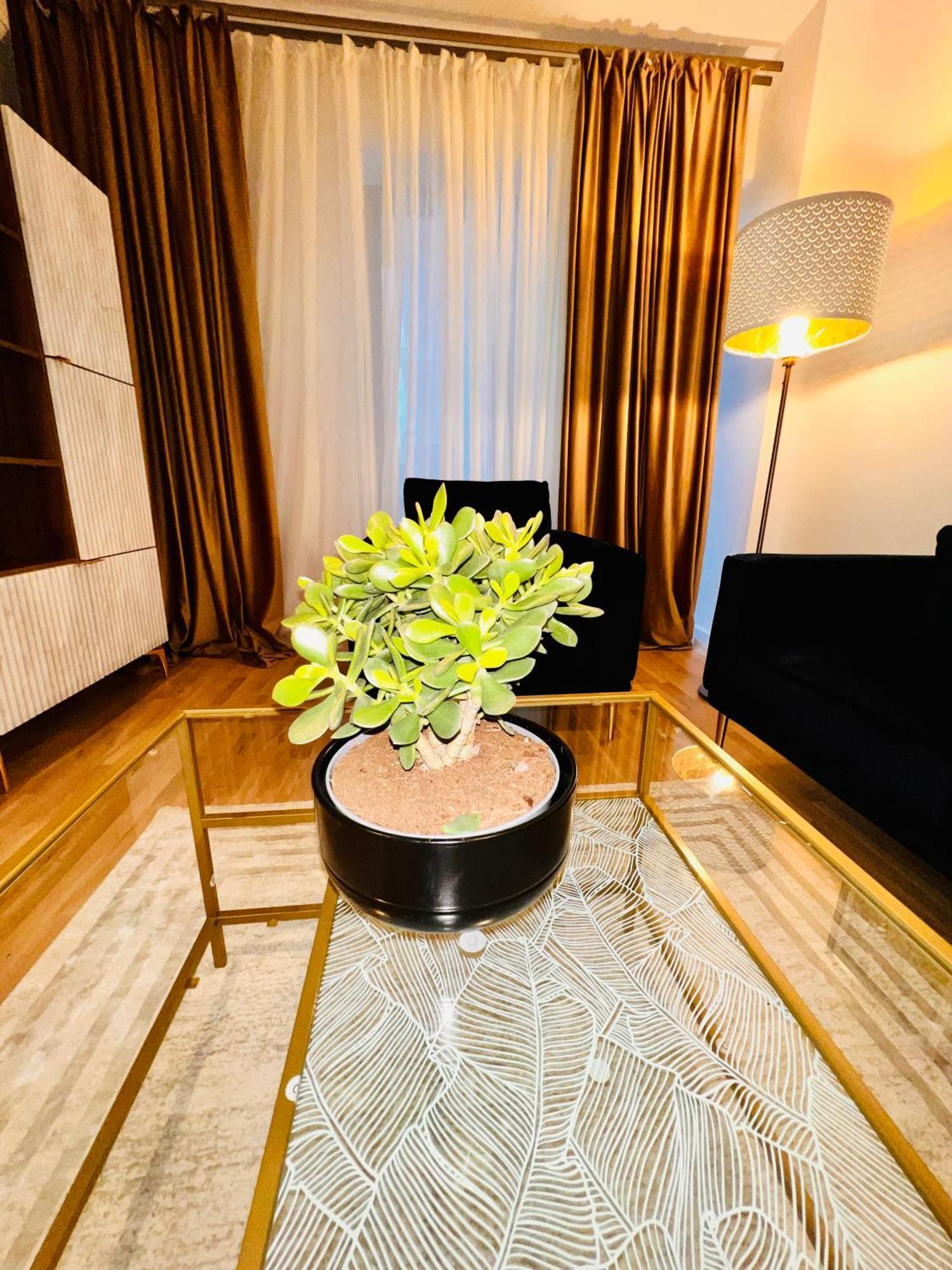 Cosy Stay Bucareste Exterior foto